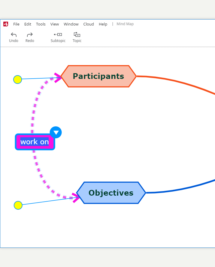 Customizable connections